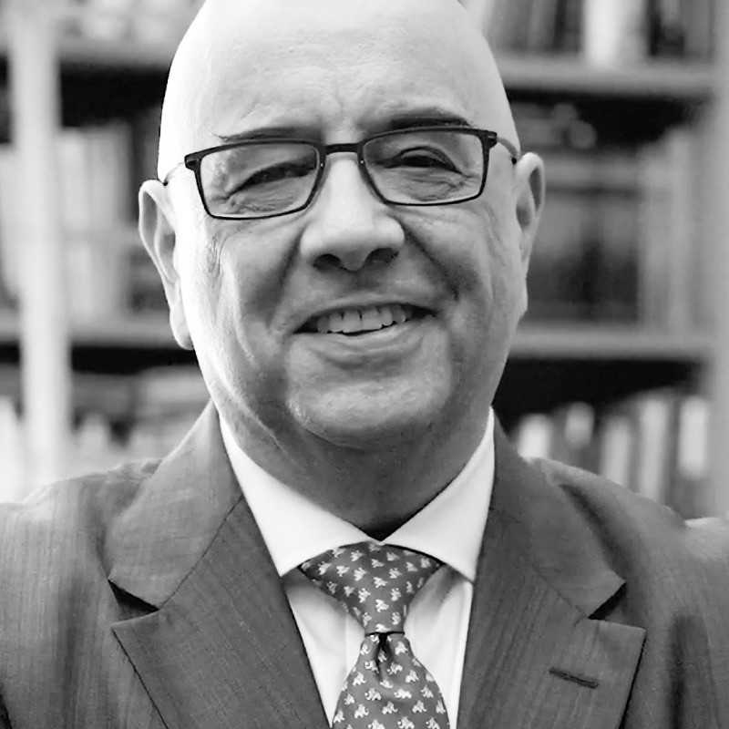 Julio M. Ottino